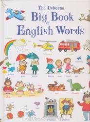 BIG BOOK OF ENGLISH WORDS (2013)