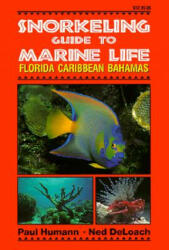 Snorkeling Guide to Marine Life Florida Caribbean Bahamas (2004)