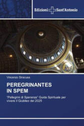 PEREGRINANTES IN SPEM (ISBN: 9786138394617)