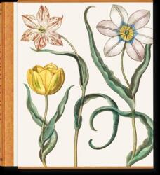 Besler. The Garden at Eichstätt (ISBN: 9783836594332)