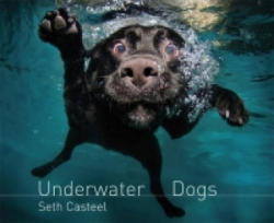 Underwater Dogs - Seth Casteel (2013)