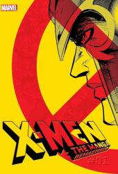 X-Men: The Manga: Remastered, Vol. 1 (ISBN: 9781974749935)