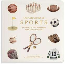 Our Big Book of Sports (ISBN: 9781963183405)