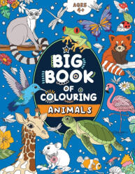 Big Book of Colouring - FairyWren Publishing (ISBN: 9781915454287)