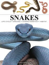 Kniha Snakes (ISBN: 9781838864446)