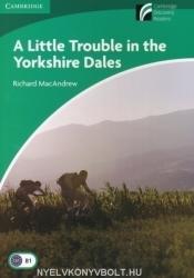 A Little Trouble in the Yorkshire Dales - Richard MacAndrew (2006)