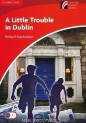 A Little Trouble in Dublin (2006)