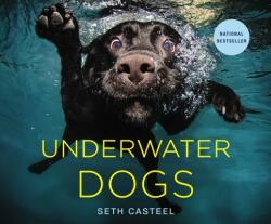 Underwater Dogs - Seth Casteel (2012)