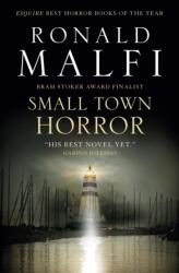 Small Town Horror (ISBN: 9781803367590)