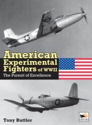 American Experimental Fighters of WWII (ISBN: 9781800353107)