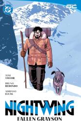 Nightwing Vol. 7: Fallen Grayson (ISBN: 9781799500889)
