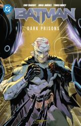 Batman Vol. 4: Dark Prisons (ISBN: 9781799500674)