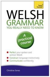 Teach Yourself: Welsh Grammar - You Really Need to Know (2014)