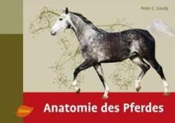 Anatomia calului (ISBN: 9783800183623)