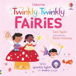 The Twinkly Twinkly Fairies (ISBN: 9781805073048)