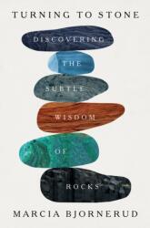 Turning to Stone: Discovering the Subtle Wisdom of Rocks - BJORNERUD MARCIA (ISBN: 9781250875891)