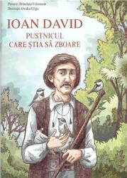 Ioan David, pustnicul care stia sa zboare - Brandusa Vranceanu (ISBN: 9789731369990)
