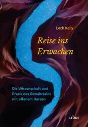 Reise ins Erwachen (ISBN: 9783867812177)