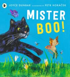 Mister Boo! (ISBN: 9781529504071)