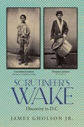 Scrutineer's Wake: Discovery in D. C (ISBN: 9798893566345)