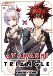 Ayakashi Triangle Vol. 14 (ISBN: 9798891609105)