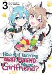 How Do I Turn My Best Friend Into My Girlfriend? Vol. 3 (ISBN: 9798891608894)