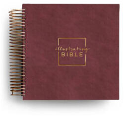 CSB Illustrating Bible - Cranberry (ISBN: 9798886028621)