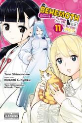 I'm a Behemoth, an S-Ranked Monster, but Mistaken for a Cat, I Live as an Elf Girl's Pet, Vol. 11 (ISBN: 9798855410211)