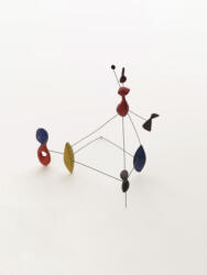 Kniha Calder (ISBN: 9788836657827)