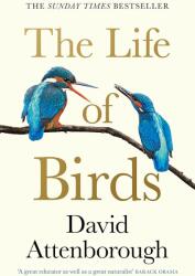 The Life of Birds - ATTENBOROUGH DAVID (ISBN: 9780008638993)