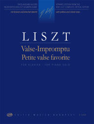 VALSE IMPROMPTU POUR PIANO (ISBN: 9786310248868)
