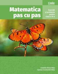 Matematica pas cu pas. Exercitii si probleme pentru clasa a 6-a - Camelia Elena Neta (ISBN: 9786060886907)