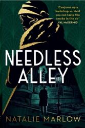 Needless Alley (ISBN: 9781399801812)