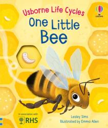 One Little Bee (ISBN: 9781805312628)