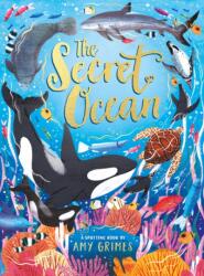 The Secret Ocean (ISBN: 9780702331220)