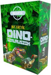 Okos kártyák - Dinoszauruszok (2024)