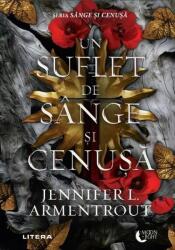 Un suflet de sânge și cenușă (ISBN: 9786303422022)