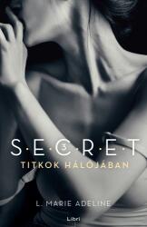 Titkok hálójában - S. E. C. R. E. T. 3. (ISBN: 9789633109946)
