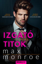 Izgató titok - Winslow fivérek 3. - Ty (ISBN: 9789635704613)
