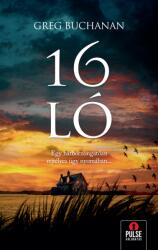 16 ló (ISBN: 9789634998419)