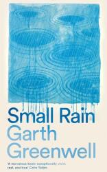 Small Rain (ISBN: 9781509874705)