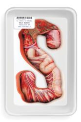 S (ISBN: 9781647294038)