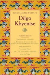 Collected Works of Dilgo Khyentse - Dilgo Khyentse (ISBN: 9781590306277)
