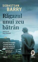 Ragazul unui zeu batran - Sebastian Barry (ISBN: 9786064024220)