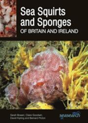 Sea Squirts and Sponges of Britain and Ireland (ISBN: 9780995567382)