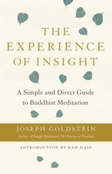 The Experience of Insight (ISBN: 9781611808162)
