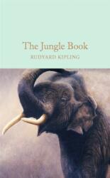 The Jungle Book (ISBN: 9781909621817)