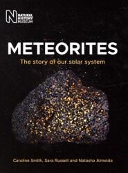 Meteorites (ISBN: 9780565094041)