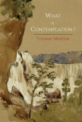 What Is Contemplation? (2013)