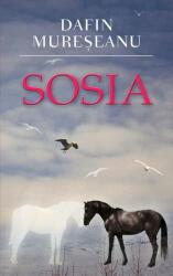 Sosia (ISBN: 9789735402488)